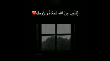 قرآن كريم بصوت شريف مصطفى //ستوري انستا //حالات واتس اب 🍁🌾😍