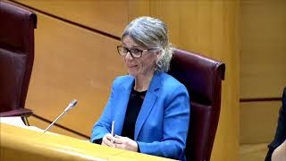 Comisión Investigación Mascarillas - María Caballero (25/04/2024)