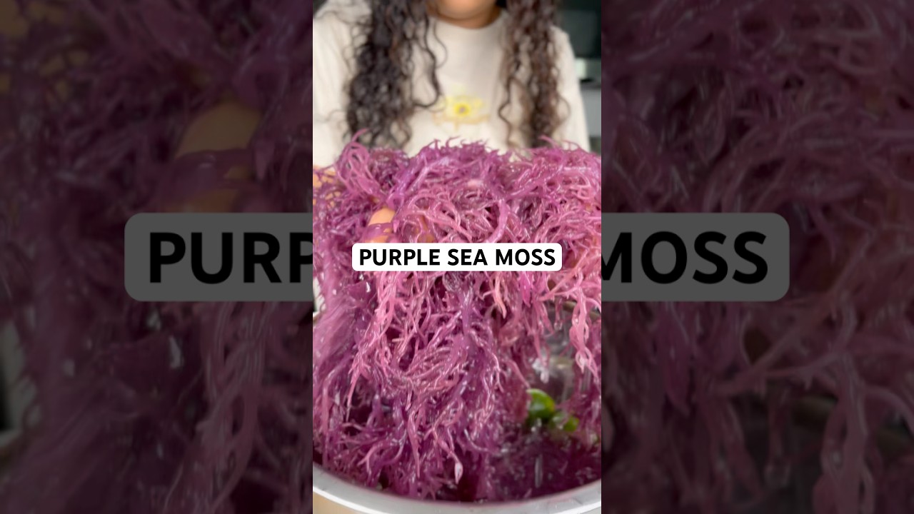 St. Lucia purple sea moss. Wind-dried, Not dyed. That deep purple? 100% natural. 