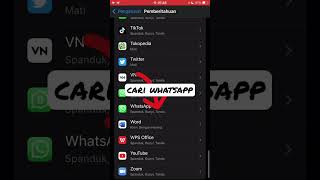 CARA NONAKTIFKAN WA DI IPHONE/IOS TANPA MEMATIKAN INTERNET screenshot 3