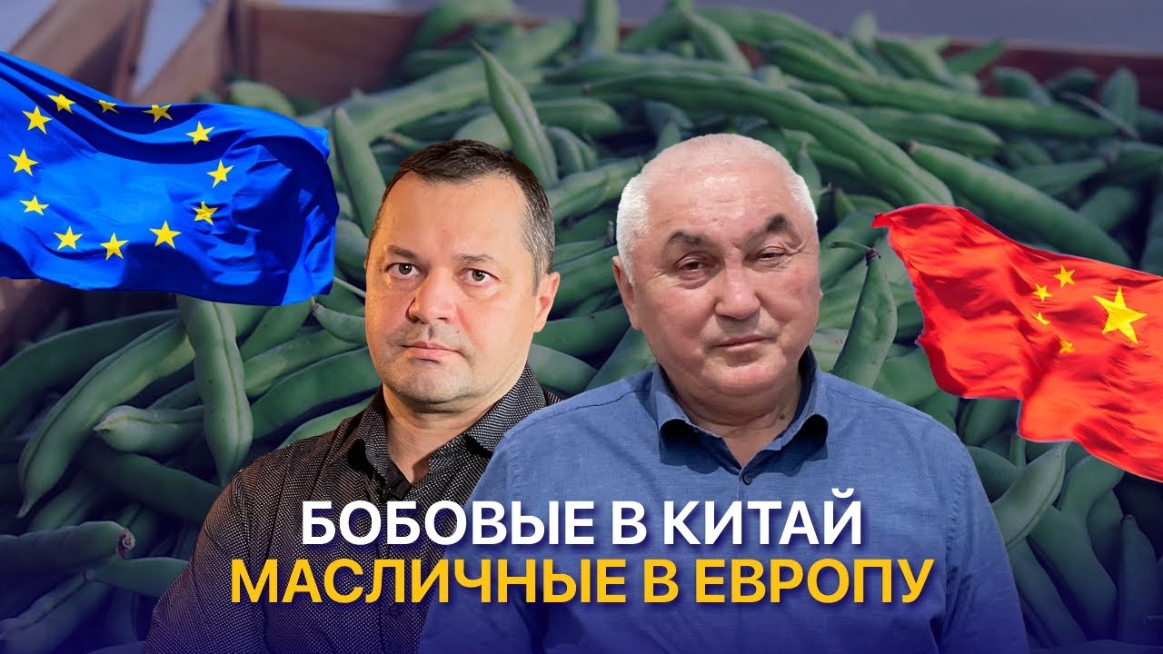 Зерно на экспорт. Что сеют и куда продают урожай фермеры в Салмар-Агро ...