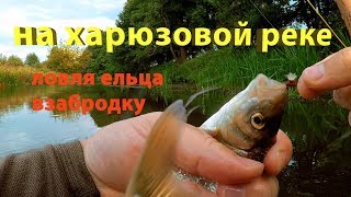 На харюзовой реке ловлю ельца взабродку. Fly fishing dry fly.