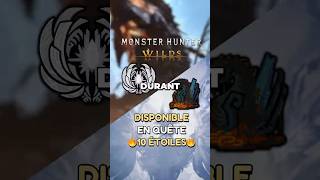 Zoshia & Gogmazios 10 Étoiles sur MH Wilds !