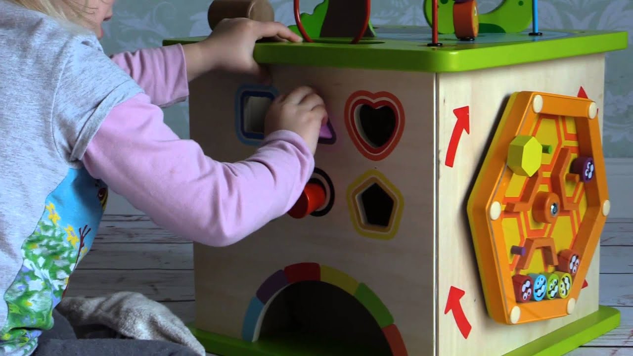 Hape E1810 Motorikwürfel Kleine Tierchen