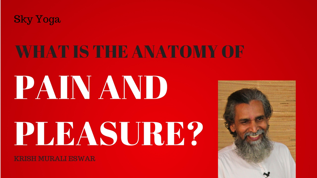 What Is The Anatomy Of Pain And Pleasure? introspection معنى