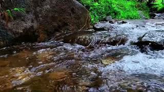 River Sounds to Help Release Stress