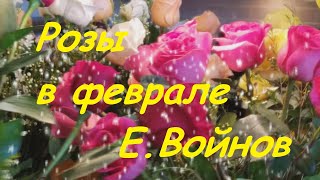 Евгений Войнов - РОЗЫ В ФЕВРАЛЕ