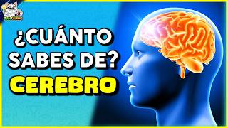 ✅¿Cuánto Sabes Sobre "EL CEREBRO"? 🧠 | Test/Trivia/Quiz