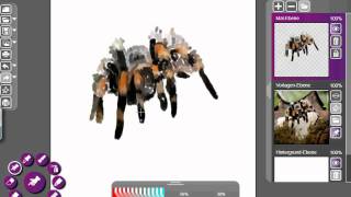 Malen mit Screenbrush Spinne