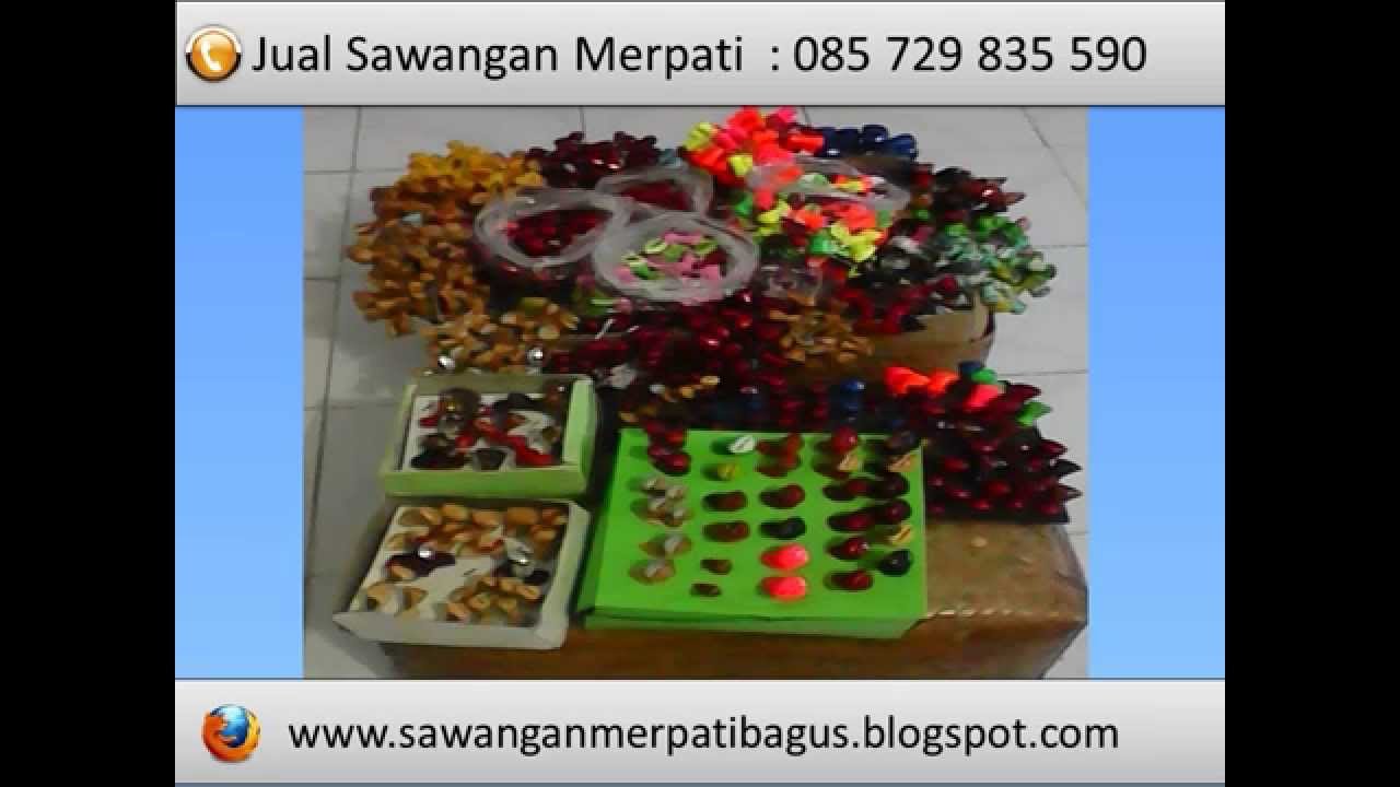 0857 2983 5590 Sawangan Merpati Tinggian Sawangan Merpati Yang