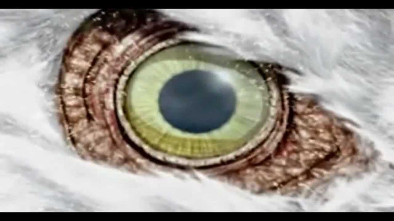 Electro 21st Century - Cosmo/Pixelpusher Collab - C.A.T uk Hub 2012