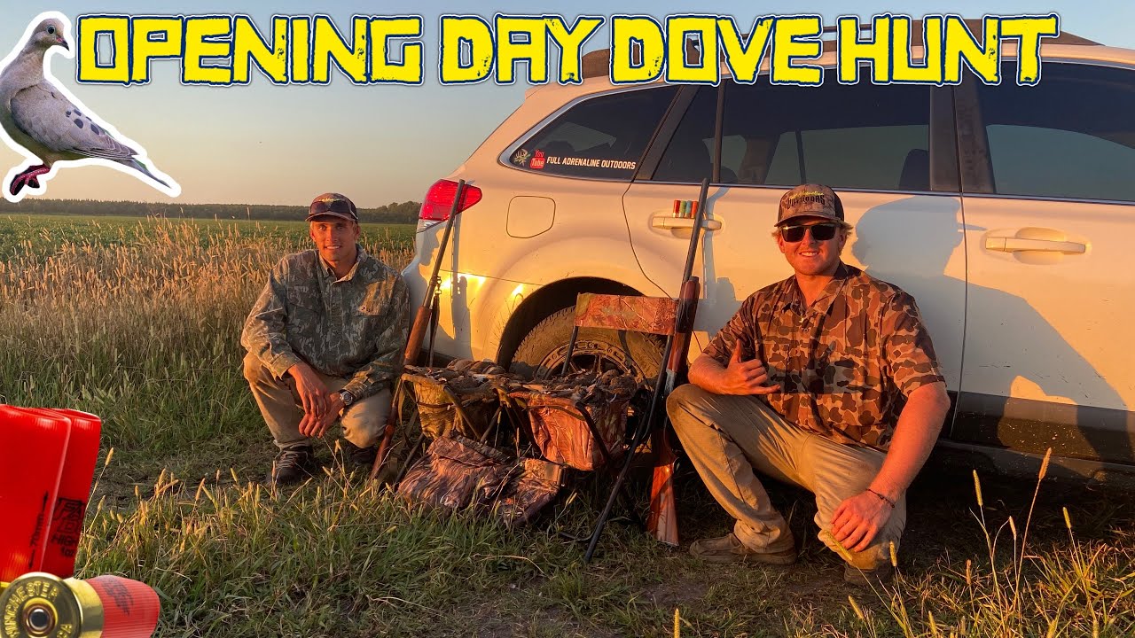 Public land dove hunt 2023 Afternoon Shoot YouTube