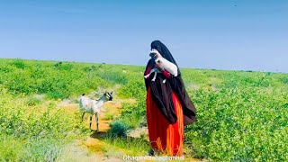 Download Lagu Jawi qurux badan iyo ari geeni saaka MP3