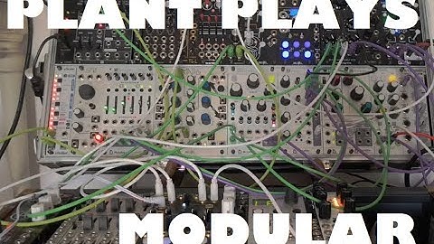 PLANT plays MODULAR AMBIENT SOUNDSCAPE