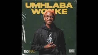 TNS - umhlaba wonke (feat Dlala thukzin)