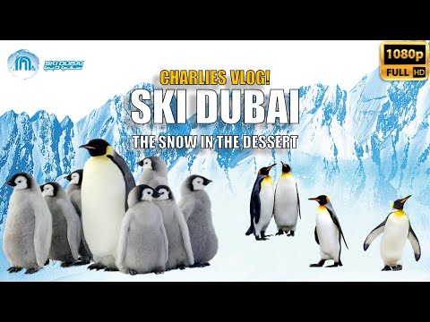 SKI DUBAI 2021 | CHARLIES VLOG