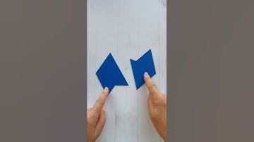 CAN YOU Solve This 2 Pieces Puzzle? 😎#shorts