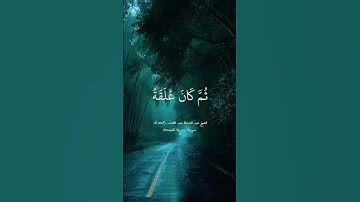 الشيخ عبدالباسط عبدالصمد سورة القيامة #الشيخ_محمد_صديق_المنشاوي #المصحف #الشيخ_عبدالباسط_عبدالصمد