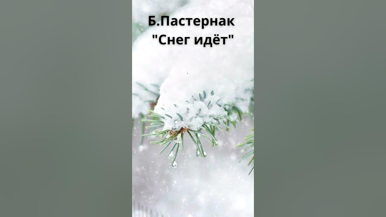 Пастернак снежок