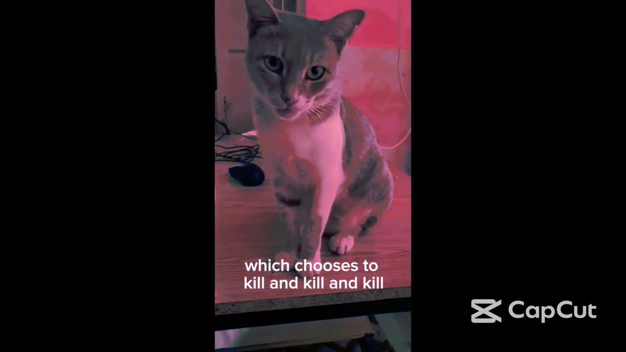 Pizza Burger Beast Creepy Talking in Cat Video