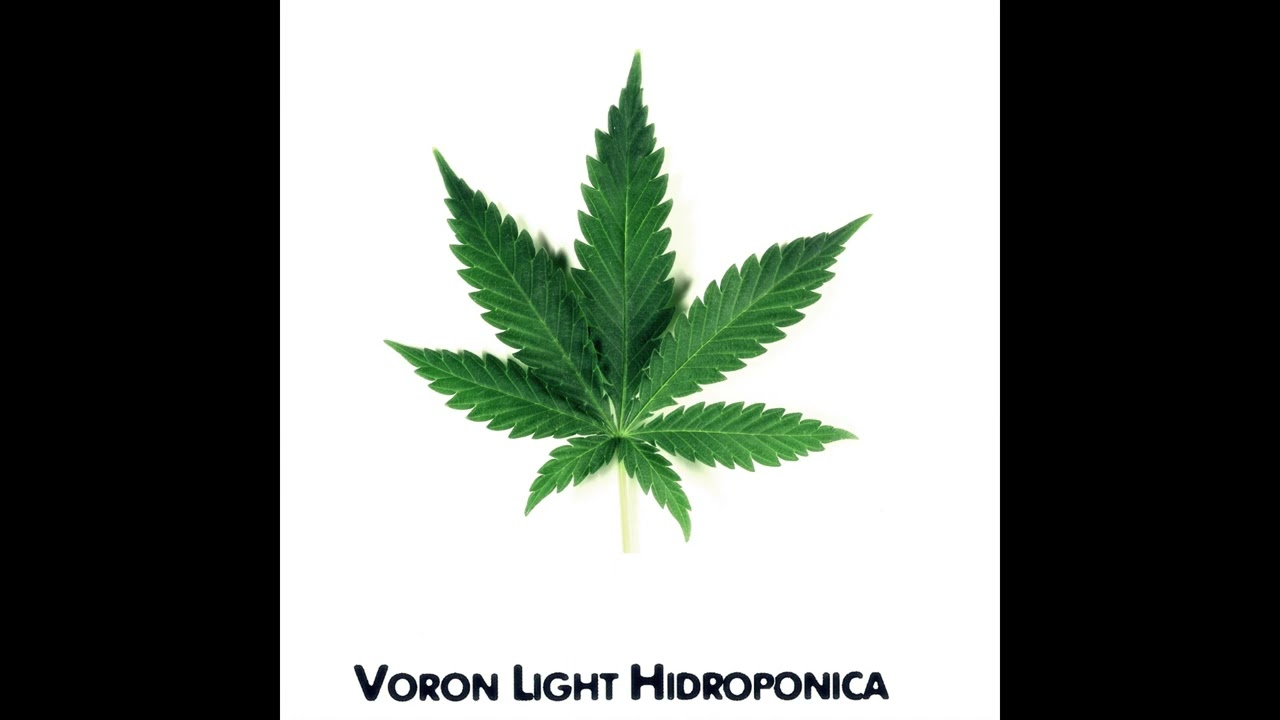 Voron Light   Je crois toi