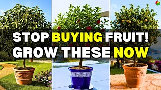 8 Fruit Trees You Can Grow in Pots and Small Spaces