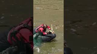 Aurora firefighters rescue fawn from drowning in river