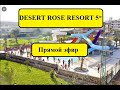 DESERT ROSE RESORT 5* - Египет в условиях карантина 2020 .