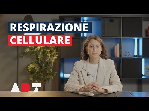 La respirazione cellulare