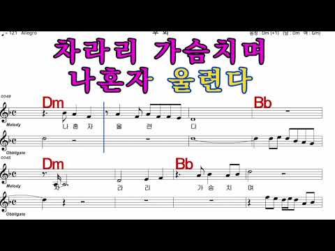 후회   나훈아  iSMB 가수처럼 엠알로 노래 악보 남 원키  Dm