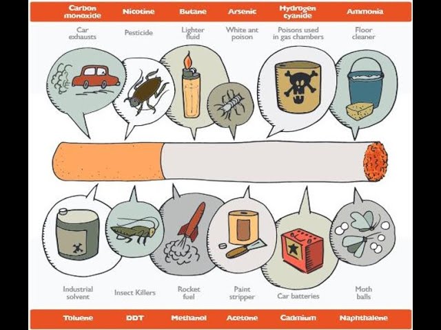 alcohol or cigarettes Nicotine (Cigarettes) and Alcohol Abuse
