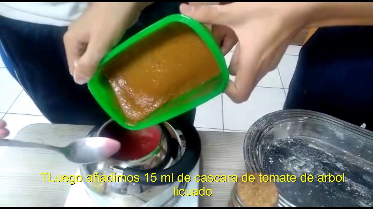 Bioplastic from tree tomato peels (Video explicativo)