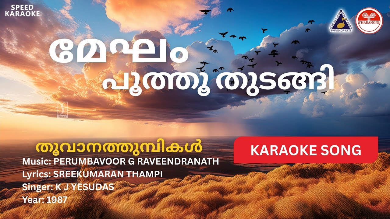 മേഘം പൂത്തു തുടങ്ങി - തൂവാനത്തുമ്പികൾ | HD Karaoke | Perumbavoor G Raveendranath |Sreekumaran Thampi