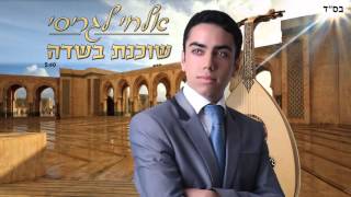 Video thumbnail of "אלחי לגריסי   שוכנת בשדה  -   elchay lagrisi  shohanet basade"