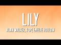 Alan Walker K 391 Emelie Hollow Lily Lyrics 