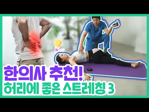 한의사가 추천하는 허리에 좋은 스트레칭 3｜자생한방병원