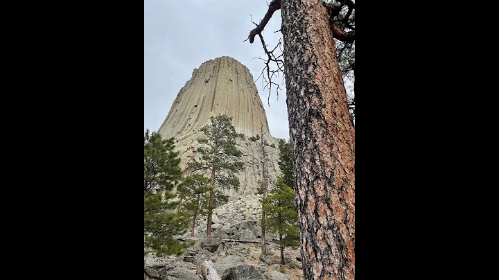 Amazing Trees of Devils Tower Monument Plus…