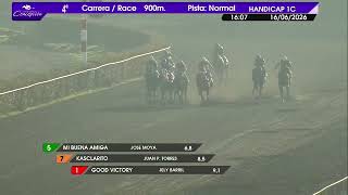 Vidéo de la course PMU ATROZ