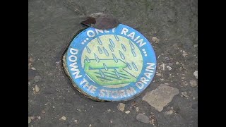 Only Rain Down the Storm Drain!