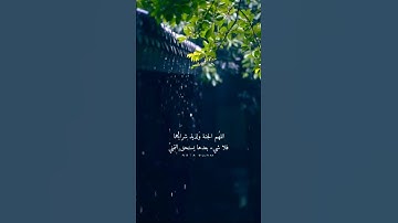 القرآن الكريم | فِي جَنَّةٍ عَالِيَةٍ * لَا تَسْمَعُ فِيهَا لَاغِيَةً