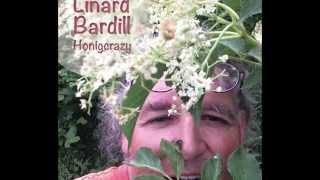 Linard Bardill   "Honigcrazy"