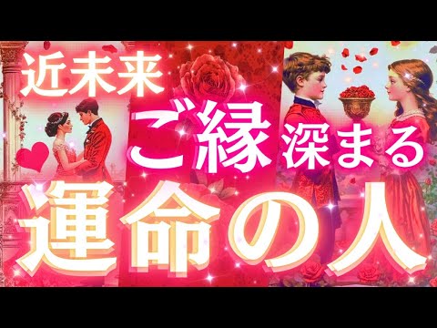【これから動く恋💘】最新のあなたの運命の人🌹特徴/出逢ってからの展開/お相手様からあなたへの想いまで細密リーディング〈タロット/ルノルマン/オラクルカード/個人鑑定級深掘りリーディング〉