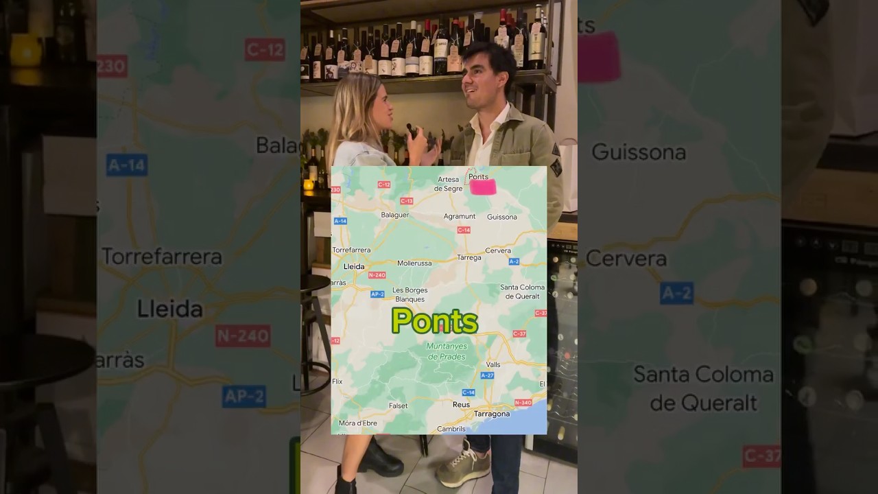 PARAULES DE PONTS x LO PAU DE PONTS