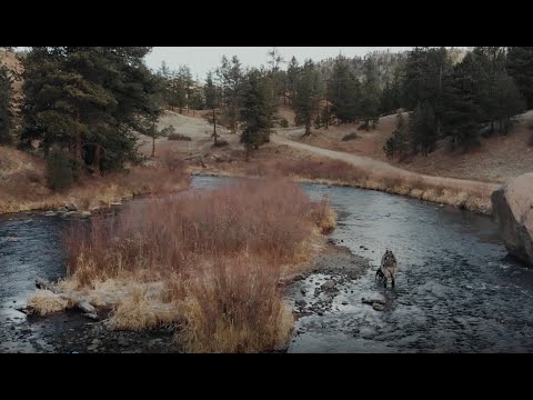 Learn to Fly Fishing with Ascent Fly Fishing - A Fly Fishing Community Like No Other!