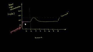 Blood Sugar Levels