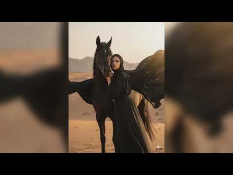 گل سرخ وردة حمراء   