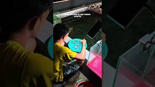 Uang bisa dicari, waktu yang hilang tidak pernah kembali #ikanhiaskoki #quotes