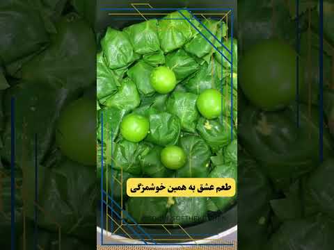 دلمه هایی که با صدای جناب خان حرف دلت رو میزنن طرز تهیه دلمه برگ مو آشپزی  آموزش