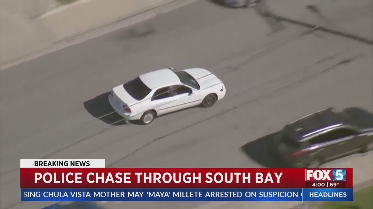 Police Dog Takes Down Suspect After Chase Through South Bay - YouTube