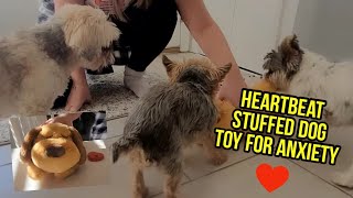 Dogs with Anxiety | Heartbeat Stuffed Dog & Cat Toy